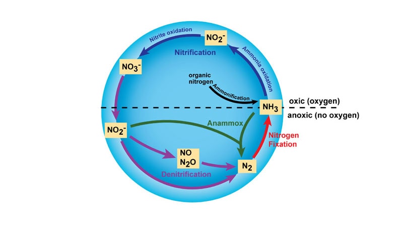 مهمترین کاربردهای نیتروژن در زمینه های مختلف