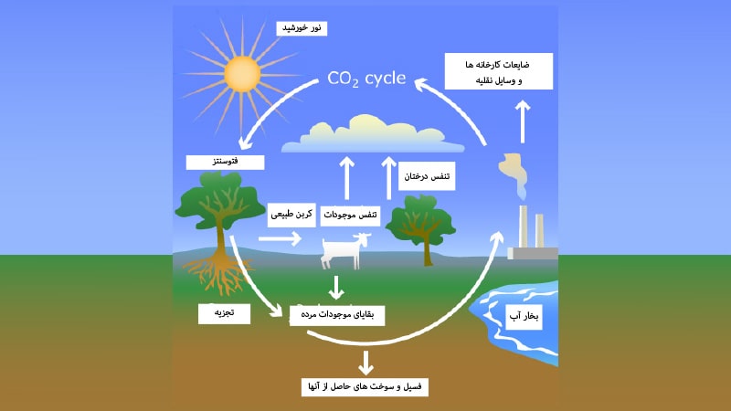 منبع تولید گاز کربن دی اکسید (2)